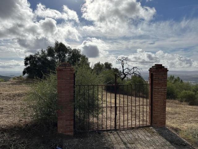 Terreno en venta en Córdoba, Encinares de Alcolea