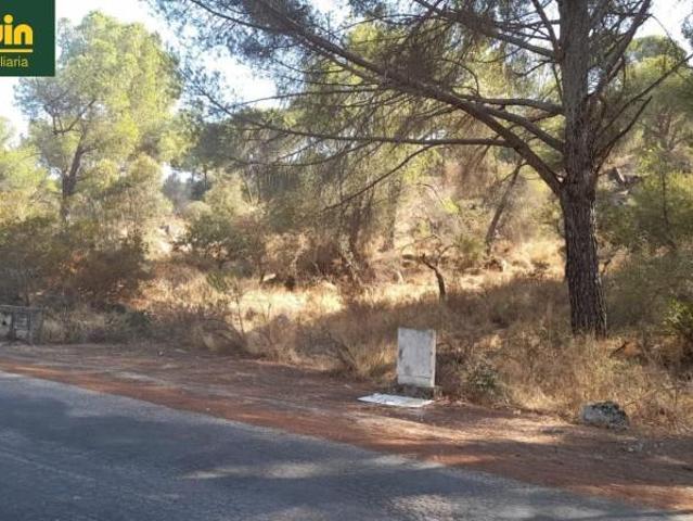 Terreno en venta en Córdoba, Trassierra Las Jaras