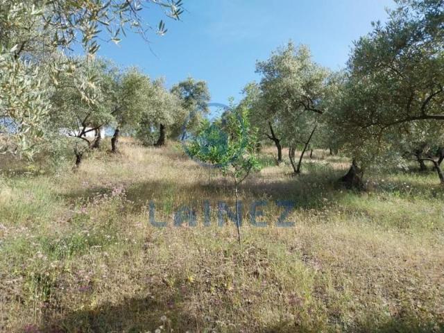 Terreno en venta en Córdoba, Villaharta