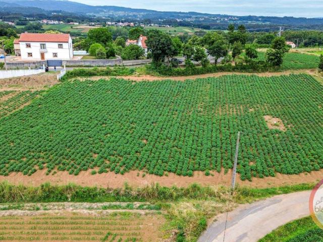 Terreno en Venta en Coristanco