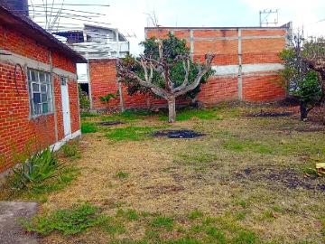 TERRENO EN VENTA EN CORRAL GRANDE, OAXTEPEC
