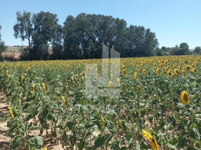 Terreno en Venta en Corrales del Vino
