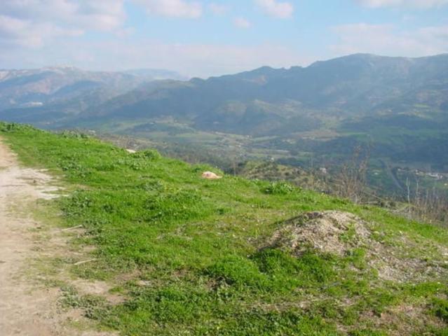 Terreno en venta en Cortes de la Frontera, Cortes De La Frontera