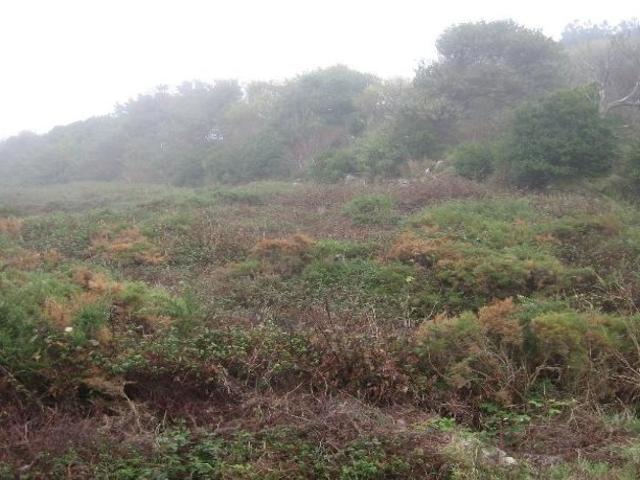 Terreno en venta en Coruña a