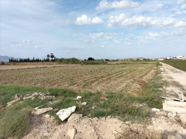 Terreno en Venta en Cox