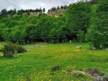 Terreno en Venta en Coyhaique