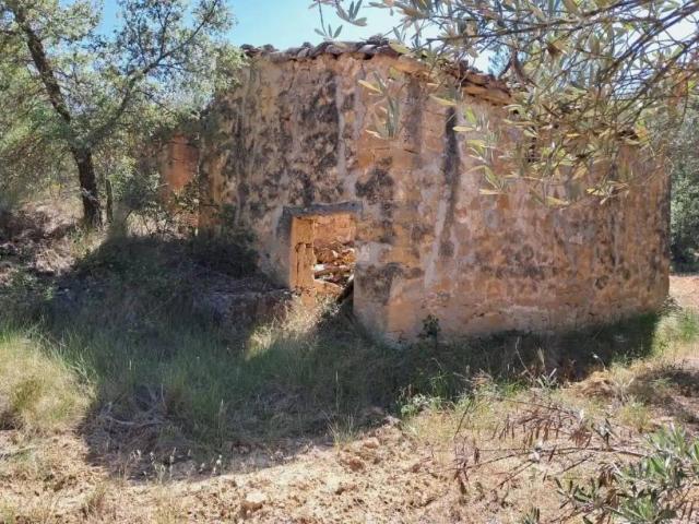 Terreno en Venta en Cretas