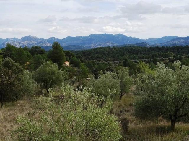 Terreno en Venta en Cretas