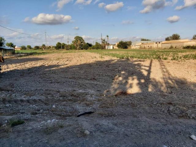 Terreno en Venta en Crevillent
