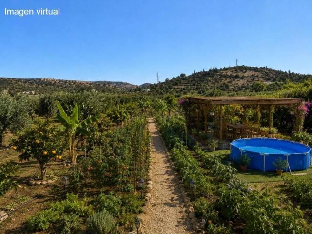 Terreno en Venta en Crevillent