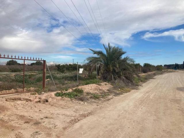 Terreno en Venta en Crevillent