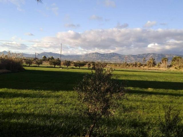 Terreno en Venta en Crevillent