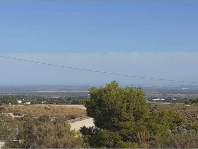 Terreno en Venta en Crevillent