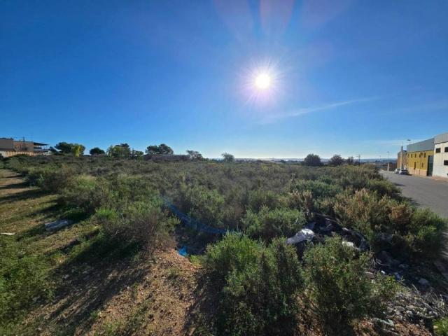 Terreno en Venta en Crevillent
