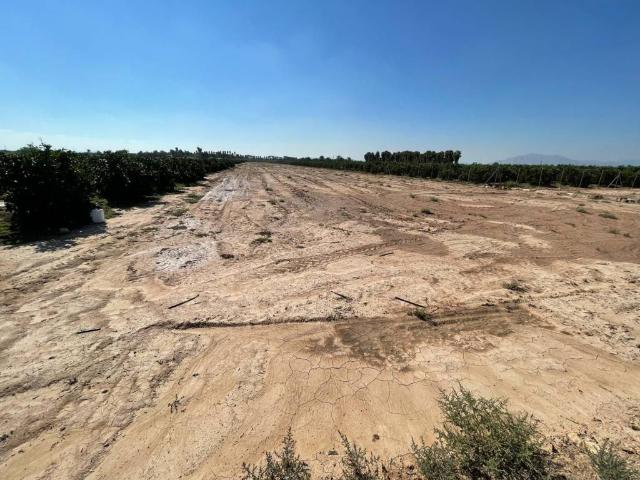 Terreno en Venta en Crevillent