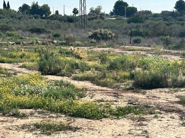 Terreno en Venta en Crevillent