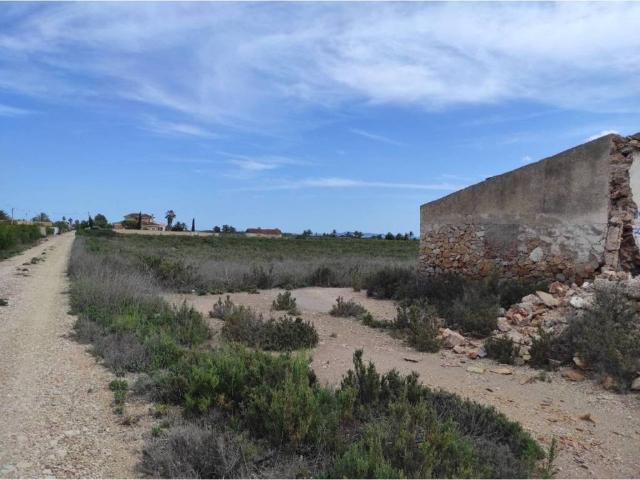 Terreno en Venta en Crevillent