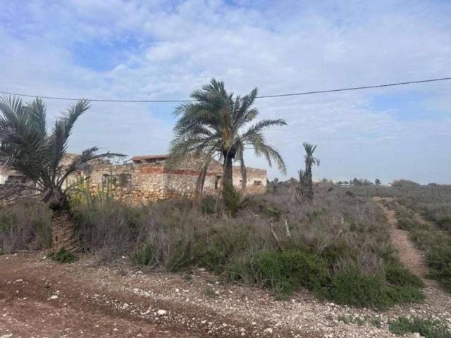 Terreno en Venta en Crevillent