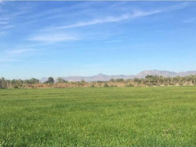 Terreno en Venta en Crevillent