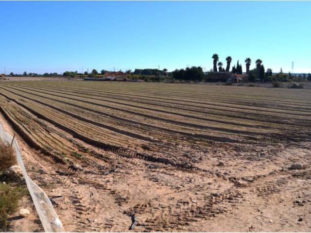 Terreno en Venta en Crevillent
