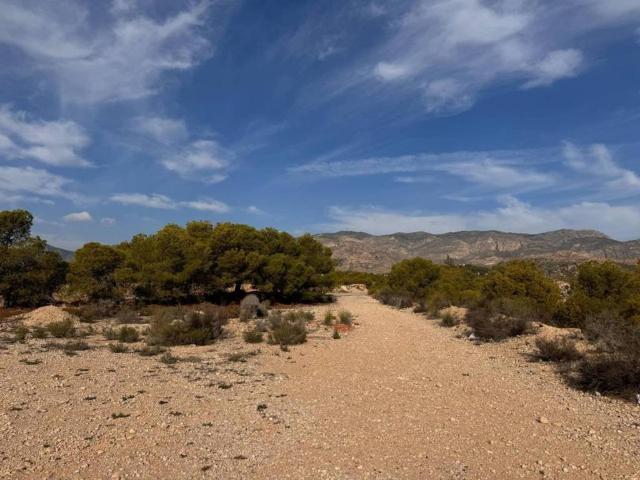 Terreno en Venta en Crevillent