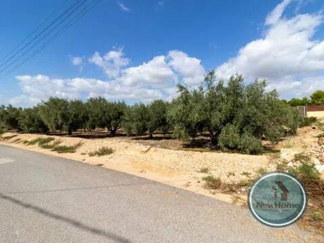 Terreno en Venta en Crevillent