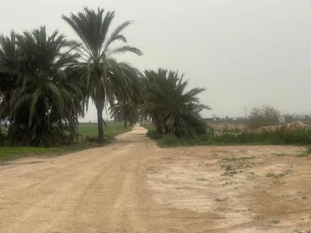 Terreno en Venta en Crevillent