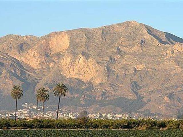 Terreno en Venta en Crevillent