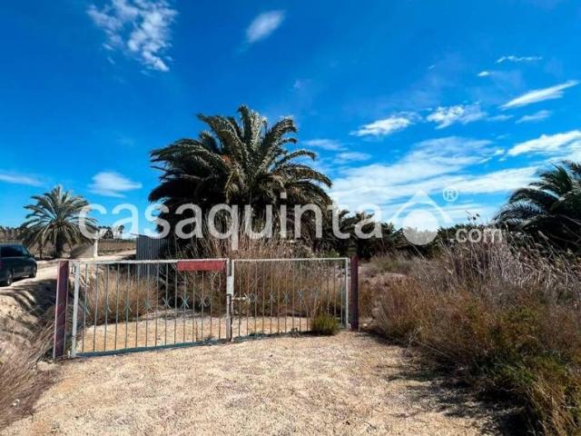 Terreno en Venta en Crevillent