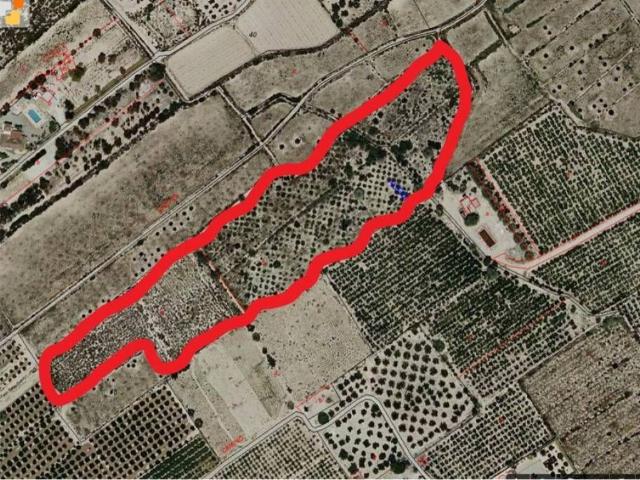 Terreno en Venta en Crevillent