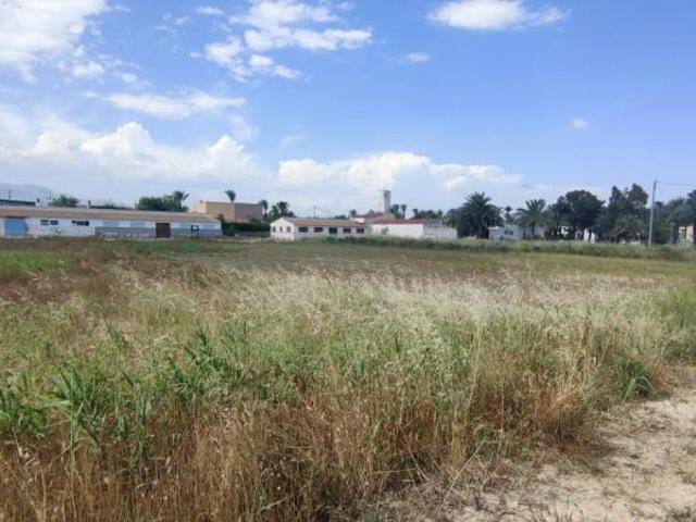 Terreno en venta en Crevillent, Realengo