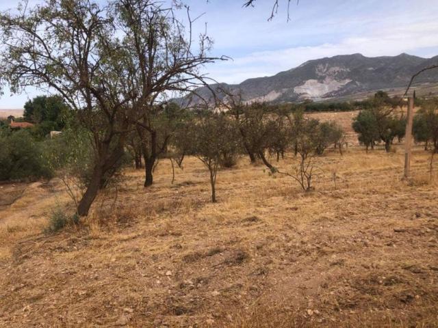 Terreno en Venta en Dúrcal
