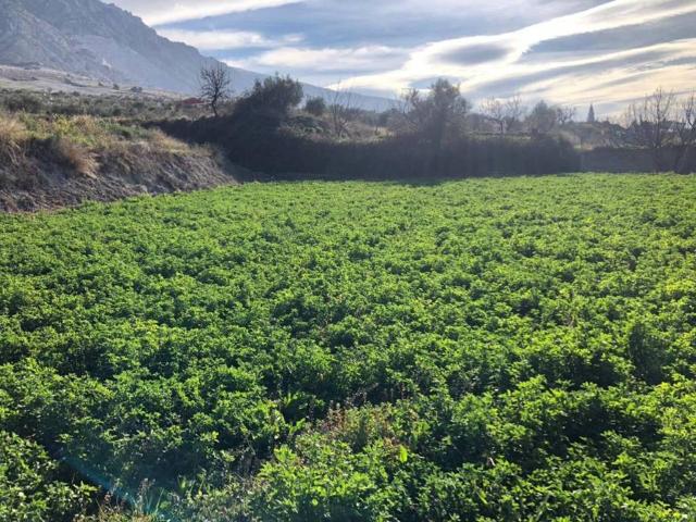 Terreno en Venta en Dúrcal