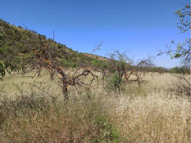 Terreno en Venta en Dúrcal
