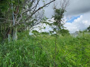 Terreno en Venta en Dzitya Yucatan