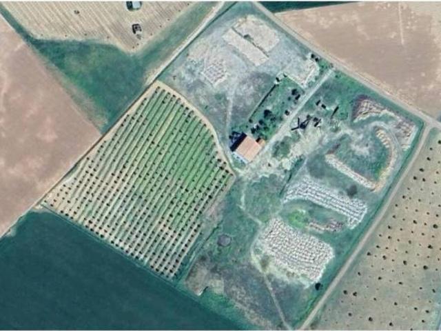 Terreno en Venta en Daimiel