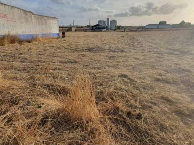 Terreno en Venta en Daimiel