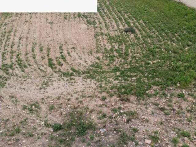 Terreno en Venta en Dalías