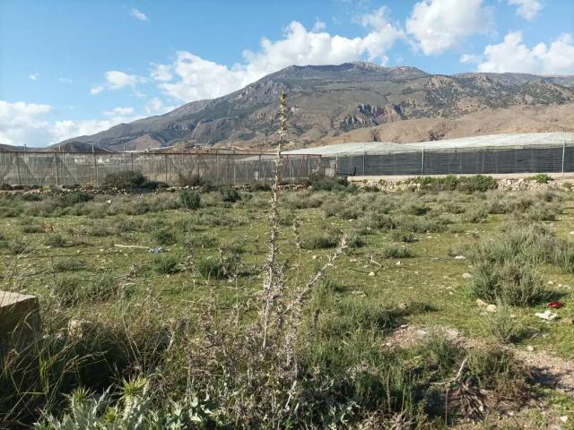 Terreno en Venta en Dalías