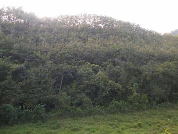 Terreno en Venta en Darien, Darien