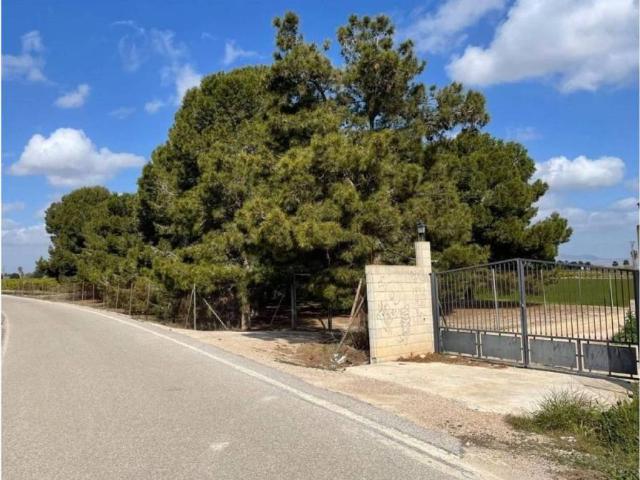 Terreno en Venta en Daya Nueva