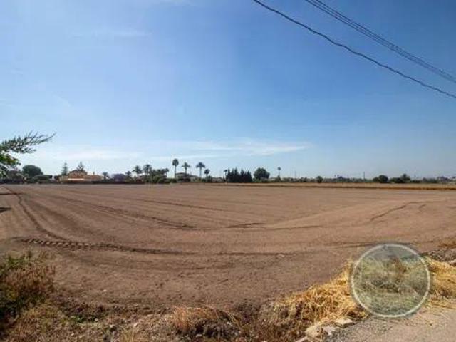 Terreno en Venta en Daya Nueva
