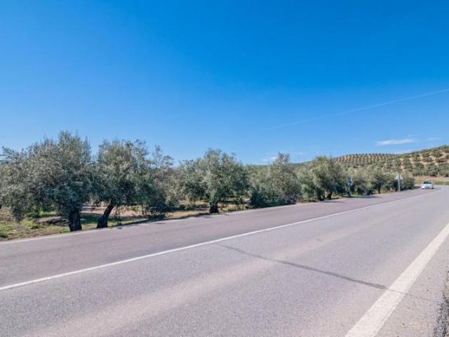 Terreno en venta en Deifontes, Andalucia