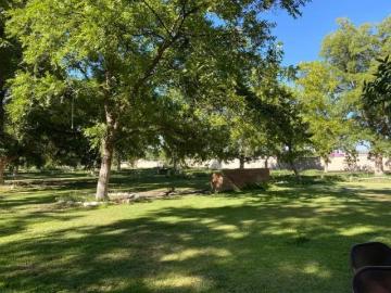 Terreno en venta en Del Marquez, Parras, Coahuila de Zaragoza