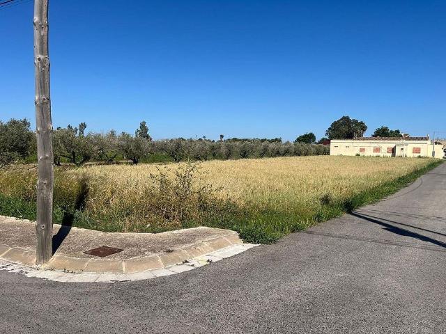 Terreno en venta en Deltebre, de 710 m² por 45.000