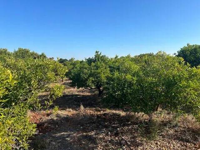 Terreno en Venta en Dénia