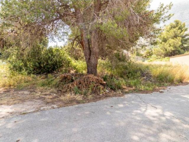 Terreno en Venta en Dénia