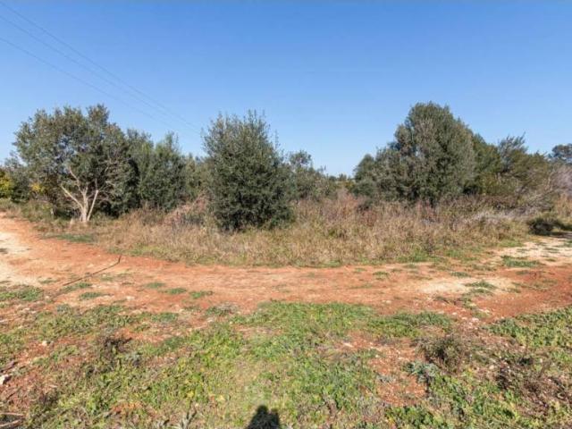 Terreno en Venta en Dénia