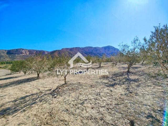 Terreno en Venta en Dénia