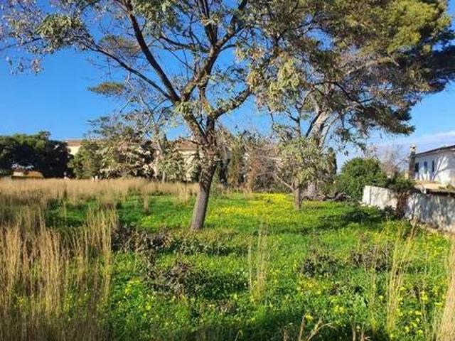 Terreno en Venta en Dénia